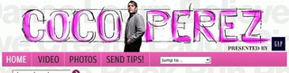 Illustration for article titled New Perez Hilton Lady Blog Leaks